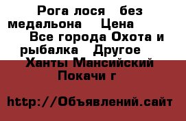Рога лося , без медальона. › Цена ­ 15 000 - Все города Охота и рыбалка » Другое   . Ханты-Мансийский,Покачи г.